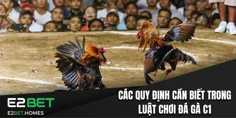 Các quy định cần biết trong luật chơi đá gà C1