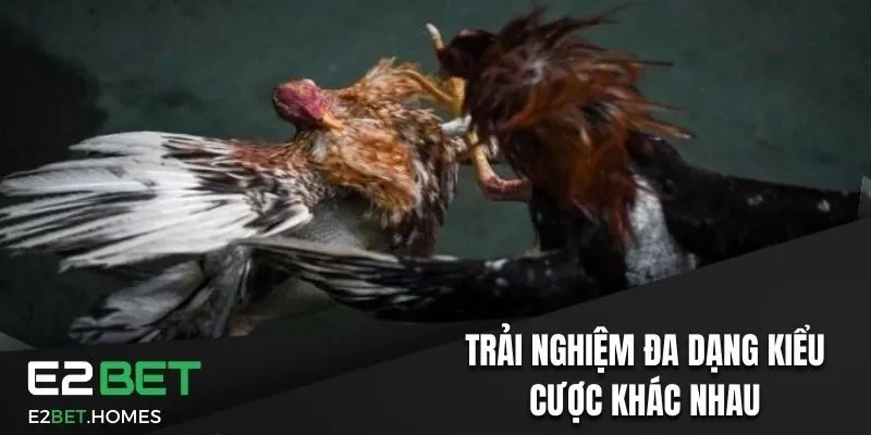 Trải nghiệm đa dạng kiểu cược khác nhau